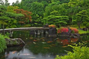 兵庫のゲストハウス 足軽が住んでいた 縁楽堂 をご紹介します ノマドでゲストハウスを旅するしゅんぺーのブログ